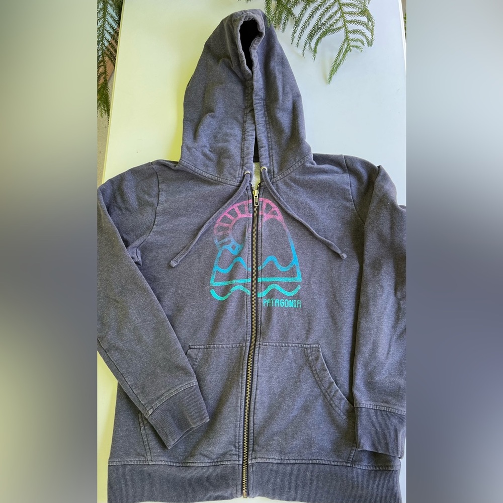 Women’s Patagonia organic cotton blue zip up hoody